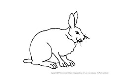 Kaninchen.pdf